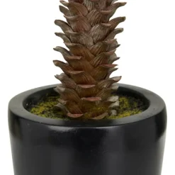 Kirkland's Home Sisal Palmtree In Sleek Black Planter- Trees & Topiaries