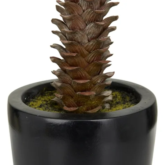 Kirkland's Home Sisal Palmtree In Sleek Black Planter- Trees & Topiaries
