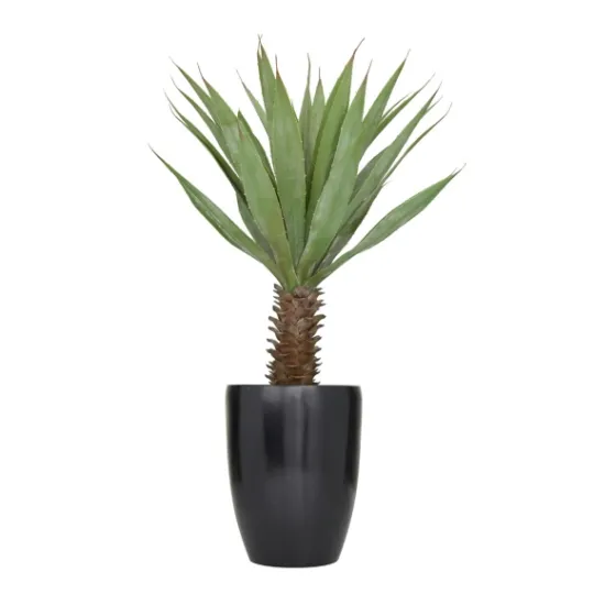 Kirkland's Home Sisal Palmtree In Sleek Black Planter- Trees & Topiaries