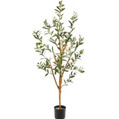 Kirkland's Home Slender Olive Branch Tree In Nursery Planter- Trees & Topiaries
