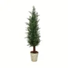 Kirkland's Home Small Cedar Tree In Mossy White Planter, 36 In.- Trees & Topiaries