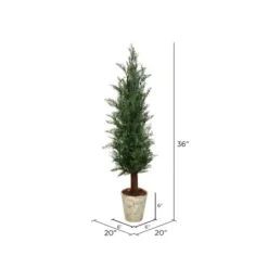 Kirkland's Home Small Cedar Tree In Mossy White Planter, 36 In.- Trees & Topiaries