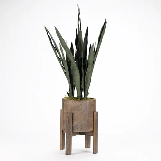 Kirkland's Home Snake Plant In Round Wooden Planter Stand, 36 In.- Arrangements & Greenery