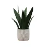 Kirkland's Home Snake Plant In Striped Pot- Arrangements & Greenery