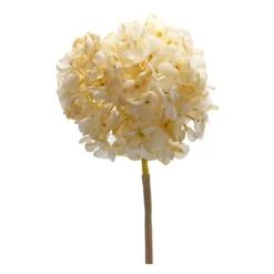 Kirkland's Home Soft Cream Hydrangea Stems, Set Of 6- Stems & Bouquets