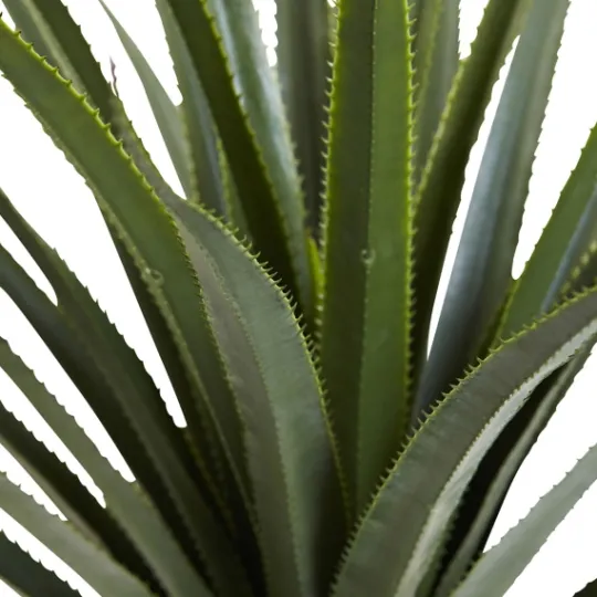 Kirkland's Home Spiked Agave Plant In Nursery Planter- Arrangements & Greenery