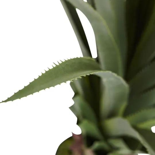 Kirkland's Home Spiked Agave Plant In Nursery Planter- Arrangements & Greenery