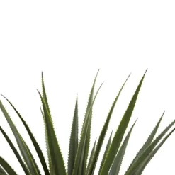 Kirkland's Home Spiked Agave Plant In Nursery Planter- Arrangements & Greenery