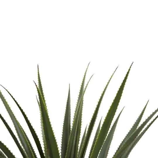 Kirkland's Home Spiked Agave Plant In Nursery Planter- Arrangements & Greenery