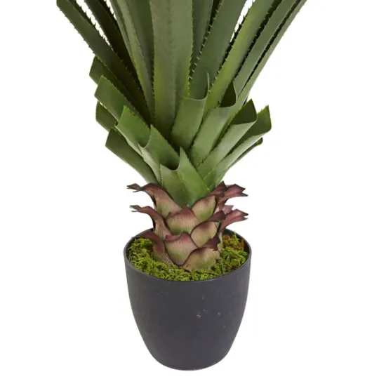 Kirkland's Home Spiked Agave Plant In Nursery Planter- Arrangements & Greenery