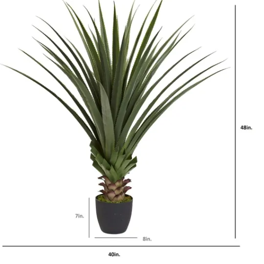 Kirkland's Home Spiked Agave Plant In Nursery Planter- Arrangements & Greenery