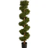 Kirkland's Home Spiraling Boxwood Topiary In Black Planter- Trees & Topiaries