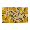 Kirkland's Home Squeeze The Day Coir Doormat- Doormats