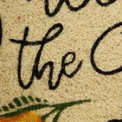 Kirkland's Home Squeeze The Day Coir Doormat- Doormats