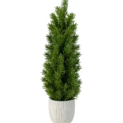 Kirkland's Home Stone Base Fir Mini Potted Christmas Tree- Trees & Topiaries