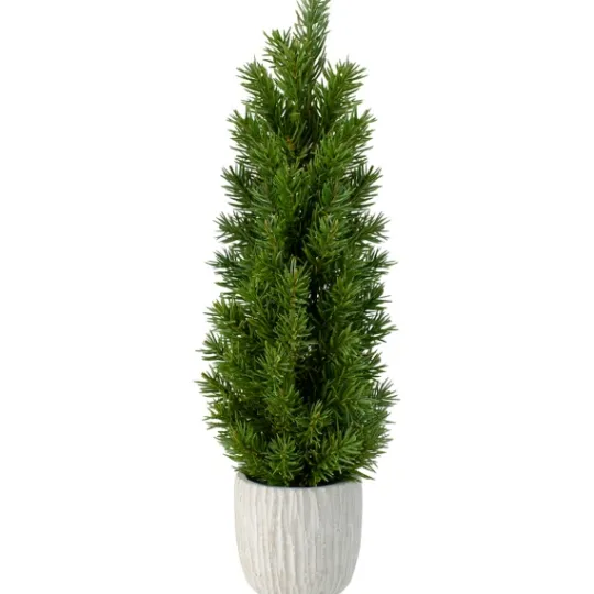 Kirkland's Home Stone Base Fir Mini Potted Christmas Tree- Trees & Topiaries