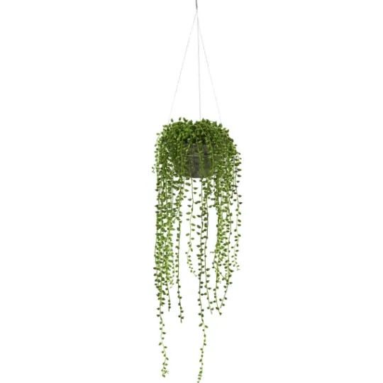 Kirkland's Home String Of Pearl Plant In Hanging Planter- Arrangements & Greenery