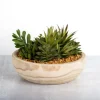 Kirkland's Home Succulent Arrangement In Natural Wood Bowl- Arrangements & Greenery