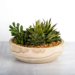 Kirkland's Home Succulent Arrangement In Natural Wood Bowl- Arrangements & Greenery