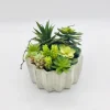 Kirkland's Home Succulent Arrangement In Zig-Zag Gray Planter- Arrangements & Greenery