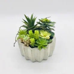 Kirkland's Home Succulent Arrangement In Zig-Zag Gray Planter- Arrangements & Greenery