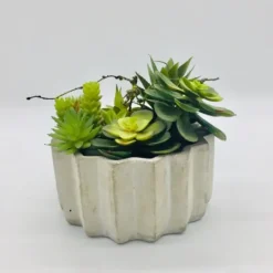 Kirkland's Home Succulent Arrangement In Zig-Zag Gray Planter- Arrangements & Greenery