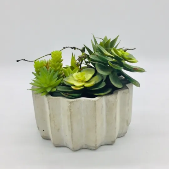 Kirkland's Home Succulent Arrangement In Zig-Zag Gray Planter- Arrangements & Greenery