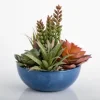 Kirkland's Home Succulent Arrangement In Glazed Blue Bowl- Arrangements & Greenery