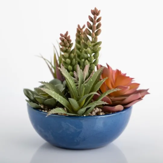 Kirkland's Home Succulent Arrangement In Glazed Blue Bowl- Arrangements & Greenery