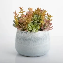 Kirkland's Home Succulent Arrangement In Blue Stone Planter- Arrangements & Greenery