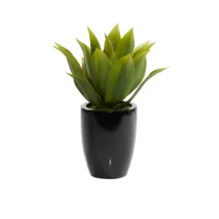 Kirkland's Home Succulent In Sleek Black Planter- Arrangements & Greenery