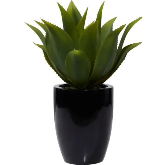 Kirkland's Home Succulent In Sleek Black Planter- Arrangements & Greenery