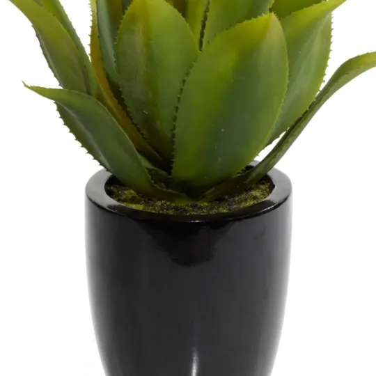 Kirkland's Home Succulent In Sleek Black Planter- Arrangements & Greenery