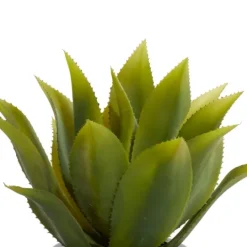 Kirkland's Home Succulent In Sleek Black Planter- Arrangements & Greenery