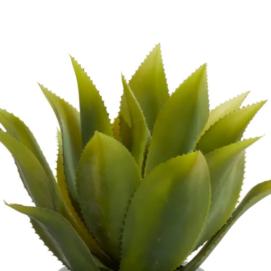 Kirkland's Home Succulent In Sleek Black Planter- Arrangements & Greenery