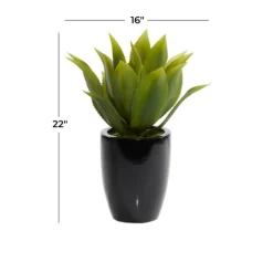 Kirkland's Home Succulent In Sleek Black Planter- Arrangements & Greenery
