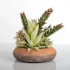 Kirkland's Home Succulent Mix In Round Terracotta Planter- Arrangements & Greenery