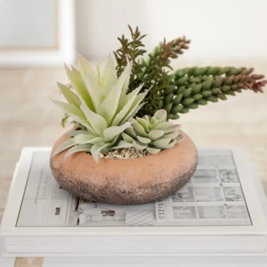 Kirkland's Home Succulent Mix In Round Terracotta Planter- Arrangements & Greenery