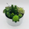 Kirkland's Home Succulent Variety In Modern White Planter- Arrangements & Greenery