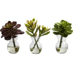 Kirkland's Home Succulents In Glass Vases, Set Of 3- Arrangements & Greenery