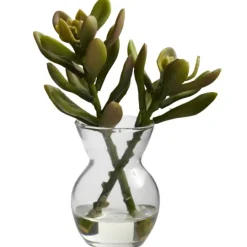 Kirkland's Home Succulents In Glass Vases, Set Of 3- Arrangements & Greenery