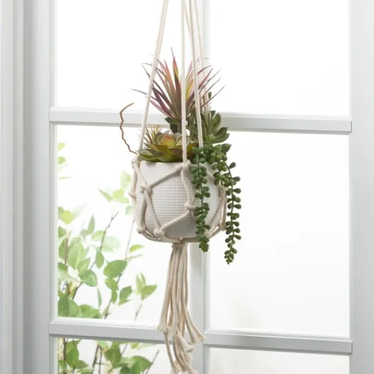Kirkland's Home Succulents In Hanging Macrame Planter- Arrangements & Greenery
