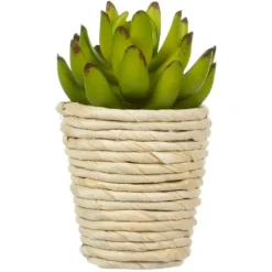 Kirkland's Home Succulents In Twine Planters, Set Of 3- Arrangements & Greenery