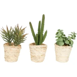 Kirkland's Home Succulents In Twine Planters, Set Of 3- Arrangements & Greenery