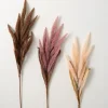 Kirkland's Home Tall Neutral Desert Grass Plumes, Set Of 3- Stems & Bouquets