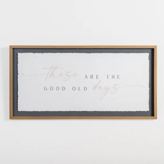 Kirkland's Home These Are The Good Old Days Framed Wall Plaque- Wall Quotes & Signs