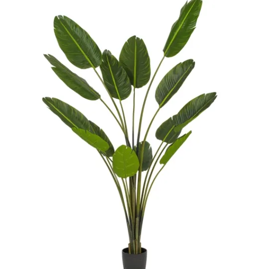 Kirkland's Home Travelers Palm Potted Tree, 7 Ft.- Trees & Topiaries
