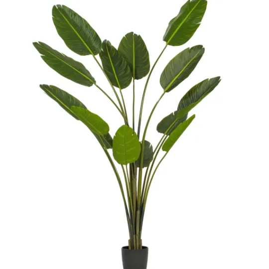 Kirkland's Home Travelers Palm Potted Tree, 7 Ft.- Trees & Topiaries