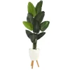 Kirkland's Home Travelers Palm Rock Tree In White Plant Stand- Trees & Topiaries