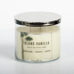 Kirkland's Home Tropical Island Vanilla Triple Wick Jar Candle- Candles
